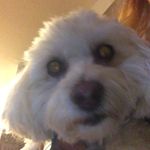 Hazel Mcgee - @hazel.mcgee - Instagram