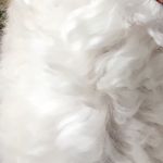 Hazel Mcgee - @genifredmcgee - Instagram