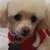 hazelmcgheetaylor - @hazelmcgheetaylor - TikTok