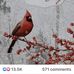 Hazel McGlothlin - Facebook