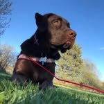 Molly Mae Hazel McLaughlin - @molly_mae_hazel20 - Instagram