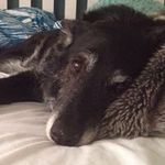 Hazel Meadows - @meadowhaze - Instagram