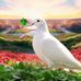 Hazel Mitchell - Facebook