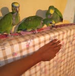 Hazel Mohammed - Facebook