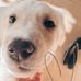 Hazel Moses - Facebook