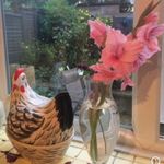 Hazel Newman - @hazel.newman57 - Instagram