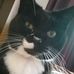Hazel Nixon - Facebook