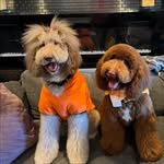 Hazel__Noah - @hazel_noah2224 - Instagram