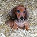 Hazel Norris - Facebook