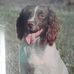 Hazel Norton - Facebook