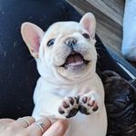 hazelmcsnorton - @hazelmcsnorton - Instagram