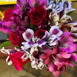 Michelle Ann Hazelrigg Norton - @hazelriggnorton - Instagram