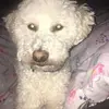 Hazel Nunn - @hazelnunn - TikTok