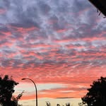 Hazel.Oakes - @hazel.oakes9 - Instagram