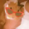 Hazel & Oakley!🧡 - @hazel.oakley_ - TikTok