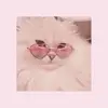 hazel and oakley - @preppygirls086 - TikTok
