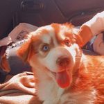 Hazel Oakley Quinn - @hazeloakleyquinn - Instagram