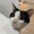 Hazel OH - Facebook