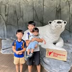 Hazel Oh - @hazethenut - Instagram