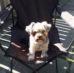 Hazel Oneill - Facebook