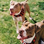 Happy + Hazel-Joy Ortiz - @happyandhazeljoy - Instagram