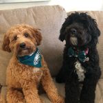 Hazel & Otto - @hazel_and_otto - Instagram