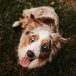 ʜᴀᴢᴇʟ ᴘᴀɢᴇ - @hazelnut0302 - Instagram