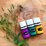 Hazel Paris - @yl_essentialoils.hazel - Instagram