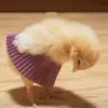 Hazel - @xx.hazel_paris.xx - TikTok