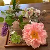 Hazel Park - @hazel.park44 - TikTok