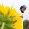 Hazel park - @dilwale677 - TikTok