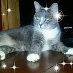 Hazel Peay - @hazelpeay - Instagram