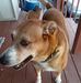 Hazel Peay - Facebook