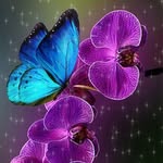 Hazel Pendergrass - @hazelpendergrass55 - Instagram