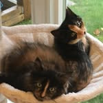 Hazel and Penney - @hazelandpenney - Instagram