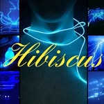 Hazel Petersen - @hibiscus_name_aesthetics - Instagram