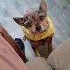 Hazel Peterson - @hazel.peterson - TikTok