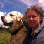 Hazel Phillips - @hazel.phillips.12 - Instagram