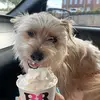 hazel_pineda - @hazel_pineda - TikTok