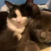 Hazel&Piper - @hazelpiper6 - TikTok