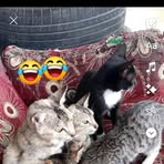 Azel Putri - Facebook