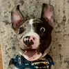 Hazel - @hazelthemerlepittie - TikTok