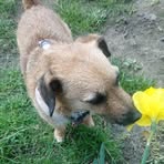 Hazel Plank - Facebook