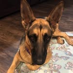 Hazel Elizabeth Pope - @hazel_basil10 - Instagram