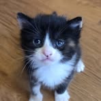 Hazel Pope - Facebook