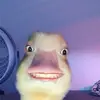 Hazel portillo - @hazel._.portillo - TikTok