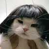 hazel potter - @hazel.the.cat._ - TikTok