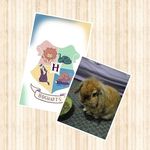 hazle - @_hazel_potter_ - Instagram