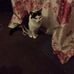 Hazel Price - Facebook