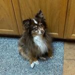 Hazel Price - @hazelprice530 - Instagram
